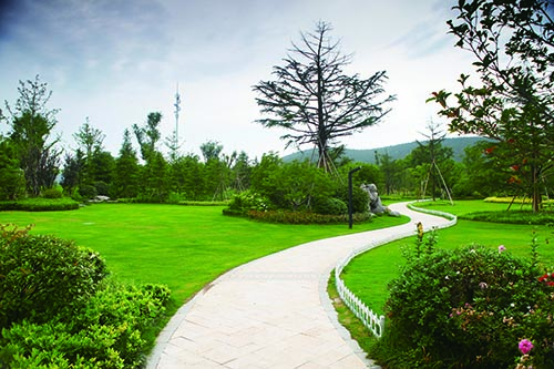 ��������