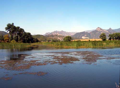 ˮ������