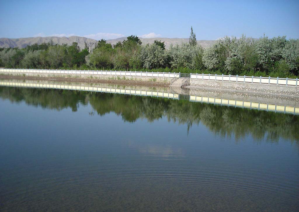 ˮ������