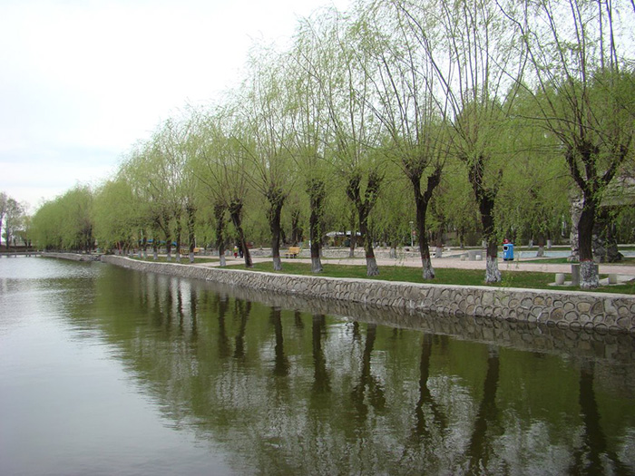 ˮ������